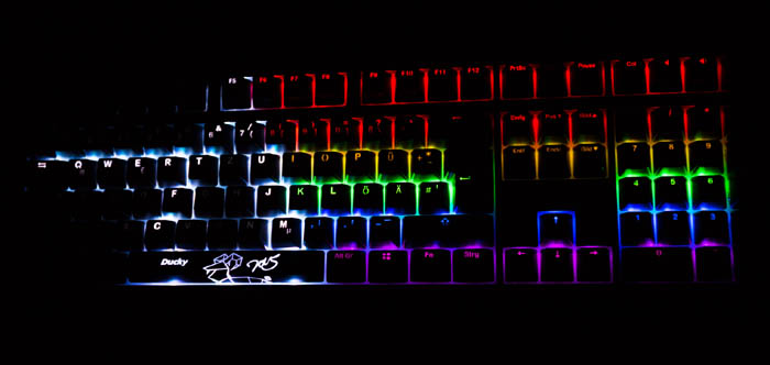 ducky shine dark side of the moon